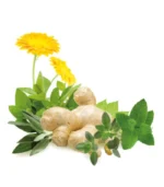 Alpenbauer ekološki zeliščno ingverjevi bonbobni