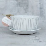 Glinea bela rebrasta skodelica s krožnikom